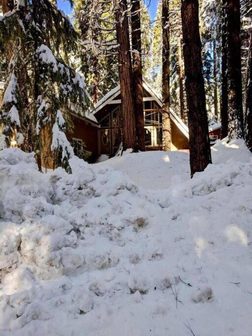 Modern Cabin Get Away - Close To Apple Hill Pollock Pines Exterior photo